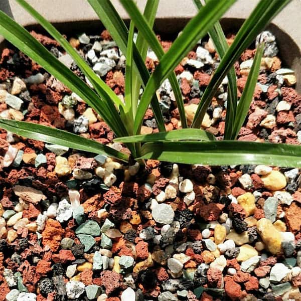 0.1 cu. ft. Multi-Colored Extra Small Gravel 2.5 lbs. 0.2 in.-0.4 in. Size  Landscape Rocks