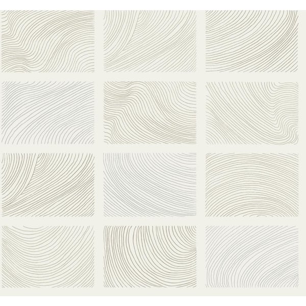 A-Street Prints Bronson White Topography Non-Pasted Wallpaper Sample