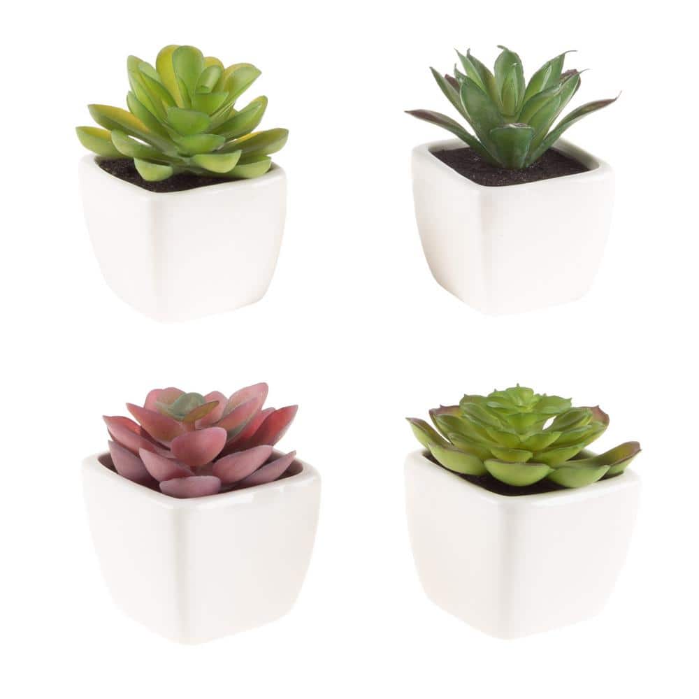 Artificial Succulent Plants/Fake Potted Succulents/Mini Faux Assorted Planter/Decorative Plant/Assorted Set of 4 