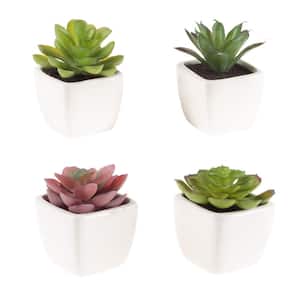 Small Artificial Succulents in Pots with White Geometric Ceramic Pots Set of 4 SOPHSEAG Succulents Plants Artificial Purple Mini Fake Succulent Plants for Home Office Desk Decor