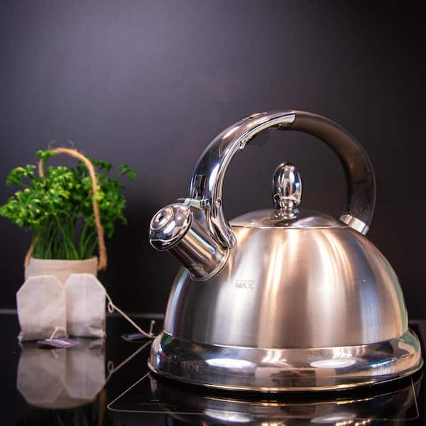 Mr. Coffee Belgrove 2.5 Quart Stainless Steel Tea Kettle, Silver