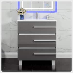 Eviva Deluxe 24 in.W x 18 in.D x 34in.H Single Freestanding Bath Vanity in Gray with White Porcelain Integrated Sink Top