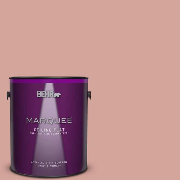 BEHR MARQUEE 1 gal. #S160-3 Bubble Shell One-Coat Hide Ceiling Flat Interior Paint & Primer