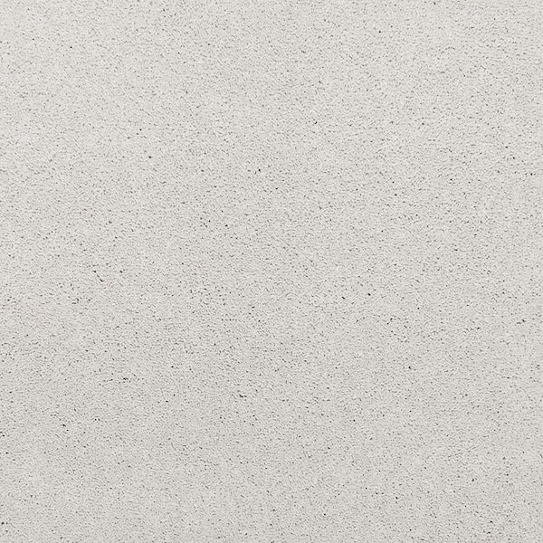 Lifeproof with Petproof Technology Plush Dreams I - Delicate-Gray 12 ft. 39 oz. Triexta Texture Installed Carpet