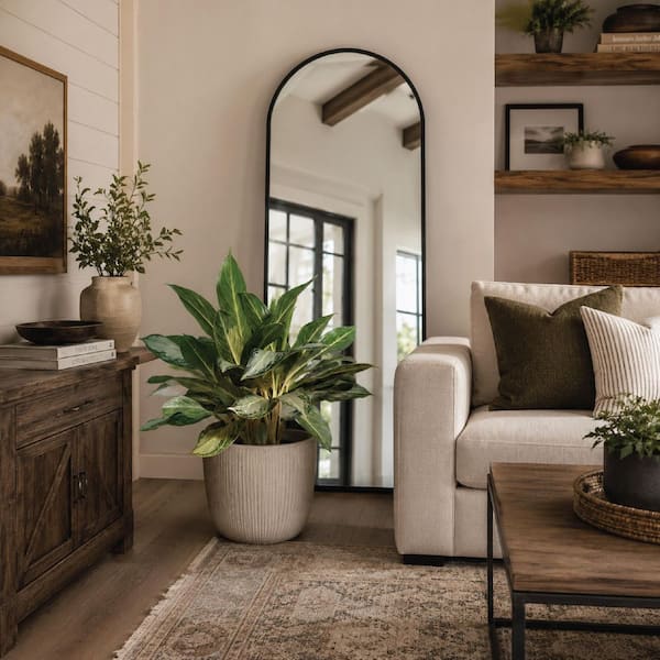 NATURE'S WAY FARMS 10 in. Golden Bay Aglaonema Indoor Tropical