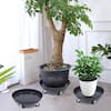 360° Rotatable Universal Wheel Style Plants Pot Tray Heavy Duty