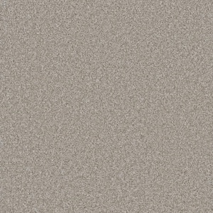 Trendy Threads Plus II - Durango - White 48 oz. SD Polyester Texture Installed Carpet