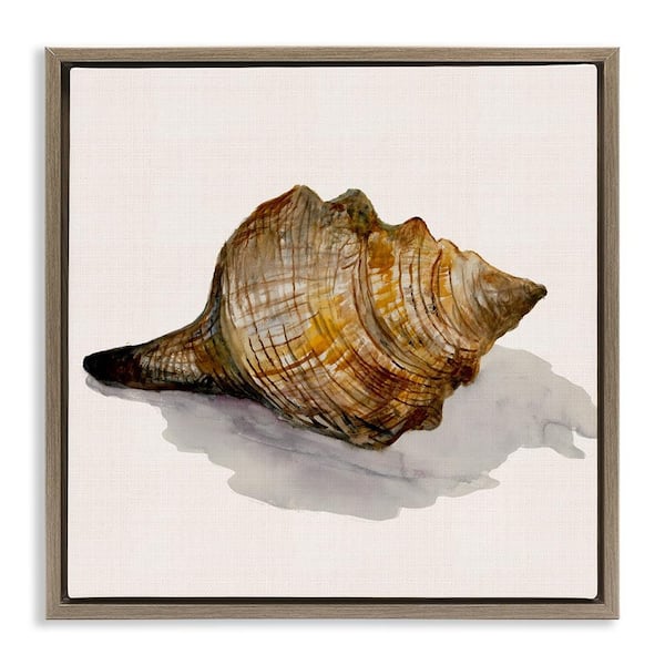 Stupell Industries Conch Shell on Beige by Jacob Q Brown Floater Frame Coastal Graphic Art Print 25 in. x 25 in.