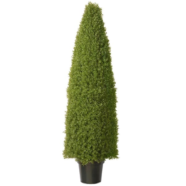 National Tree Company 60 in. Artificial Boxwood Tree with Dark Green Growers Pot