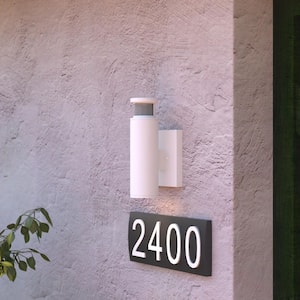 Chiasso White LED Motion Sensor Dusk to Dawn Dark Sky Outdoor Wall Light