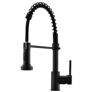 Boyel Living Stainless Steel Faucet Black Single-Handle Faucet Pull ...