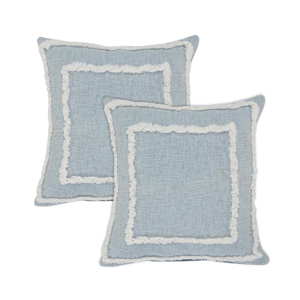 Unbranded Rory Sky Blue/White Bordered 100% Cotton 20 in. x 20 in. Indoor Throw Pillow (Set of 2)