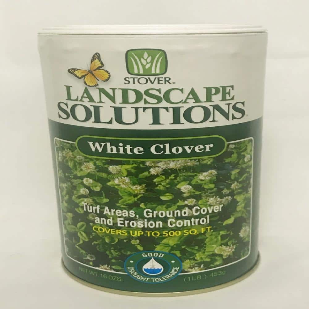 is clover harmful to dogs