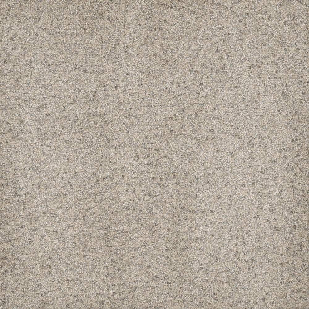 8 in. x  8 in. Texture Carpet Sample - Bradmore I -Color Drift price history on PriceWatchPro