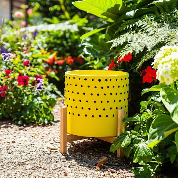 10 in. x 11 in. Yellow Ceramic Dotted Decorative Pot with Wood Stand