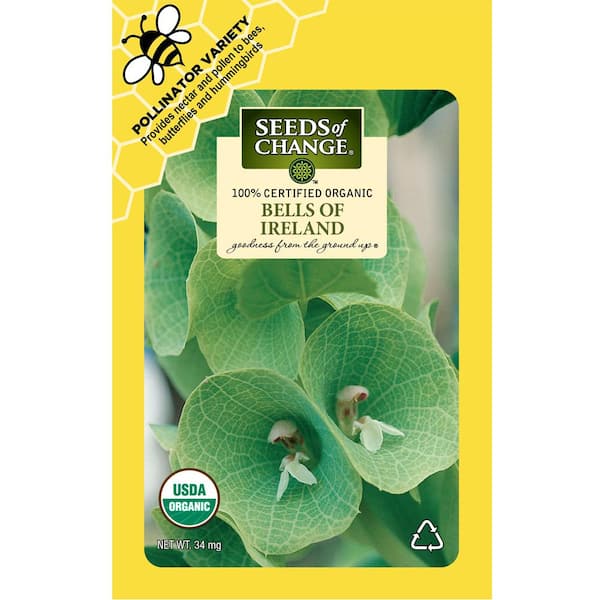 Organic Bells of Ireland Flower Seeds