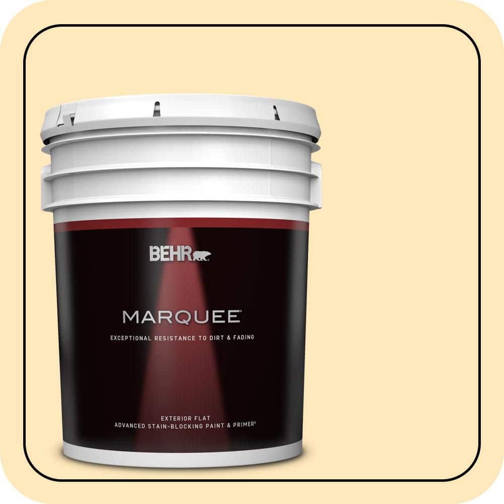 5 gal. #310A-2 Gold Buttercup Flat Exterior Paint & Primer price history on PriceWatchPro