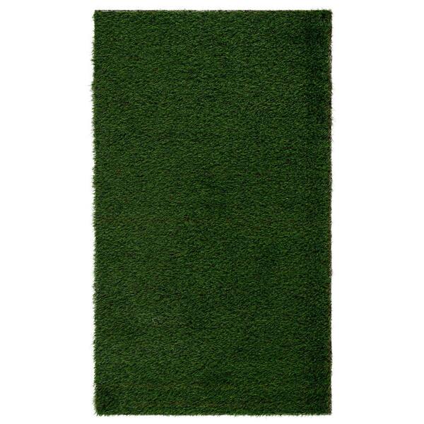 Turf 4 ft. x 6 ft. Natural/Green Solid Area Rug