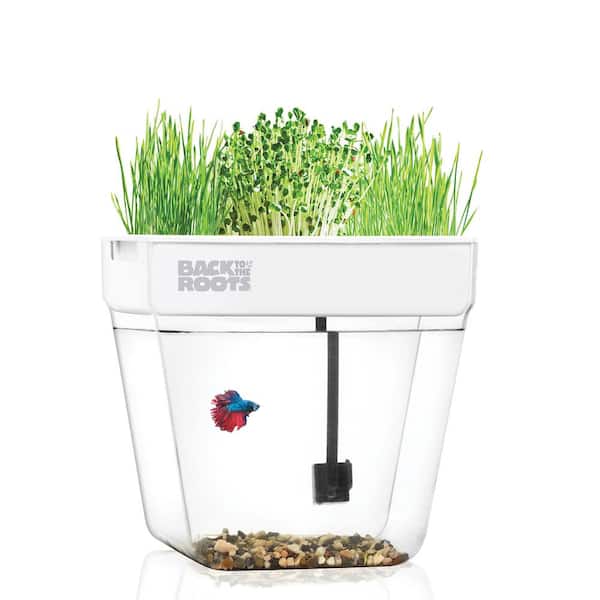Back to the Roots Premium Acrylic Water Garden Fish Tank That Grows Food