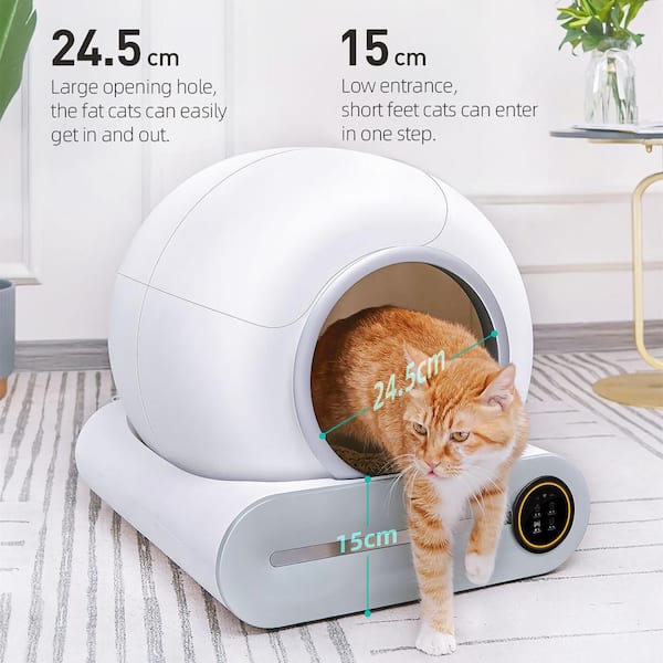 Low step litter box best sale