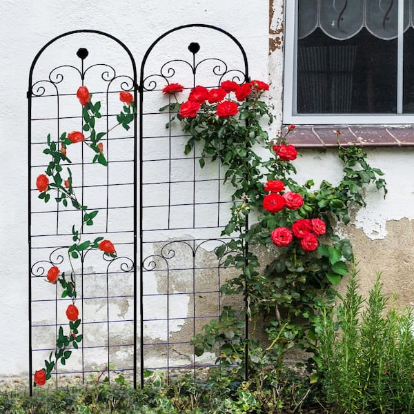 Tunearary 7.2 ft. Metal Outdoor Black Rose Mesh Trellis for Plant Climbing (2-Pack)