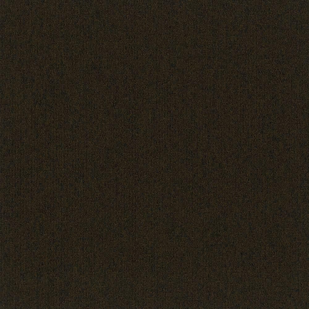8 in. x 8 in. Loop Carpet Sample - Form Focus 20 - Color Coffee price history on PriceWatchPro