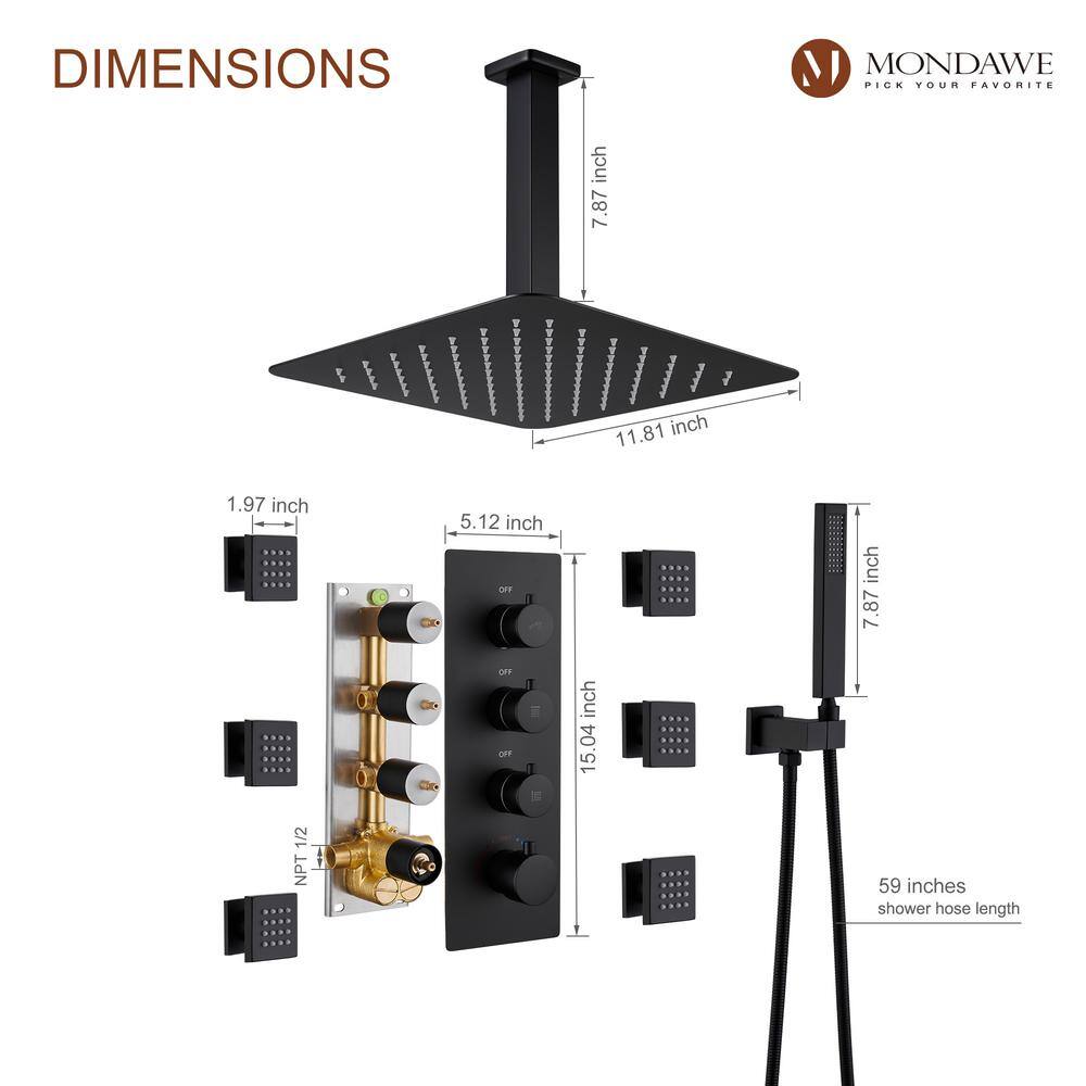 Matte Black Ceiling Mounted Shower System with Handheld and Body Jets
