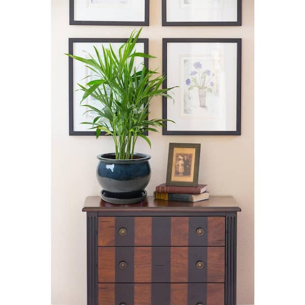 Solid Studio Dripping Blue Glazed Ceramic Planter with Attached Saucer and Drainage Holes (9 in. L x 9 in. W x 8 in. H)