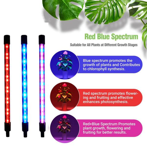Homevenus 4-Heads Full Spectrum Clamp LED Grow Lights For Indoor Plants in  Red and Blue Color Changing Light GLC04 - The Home Depot