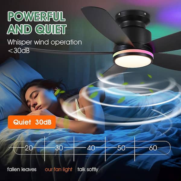 Kviflon 41 in. Indoor/Outdoor Modern Black 6-Speed Ceiling Fan