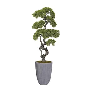Vintage Home Artificial Faux Bonsai Tree 60 in. High Fake Plant Real Touch with Stylish Plastic Planter
