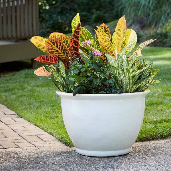 Vigoro Giselle Large Chalk Resin Composite Planter with Drainage Hole (18.8  in. L x 18.8 in. W x 12.4 in. H) CMX-057710 - The Home Depot