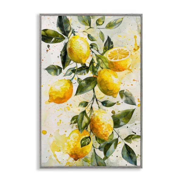 Stupell Industries Lemon Watercolor Splashes by LSR Design Studio Gray Framed Food Giclee Art Print 18 in. x 12 in.