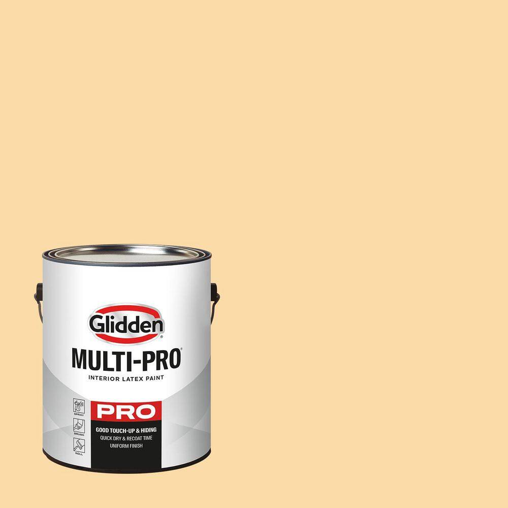 1 gal. PPG1204-4 Doodle Eggshell Interior Paint price history on PriceWatchPro