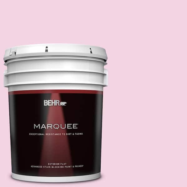 BEHR MARQUEE 5 gal. #690A-2 Hopeful Flat Exterior Paint & Primer