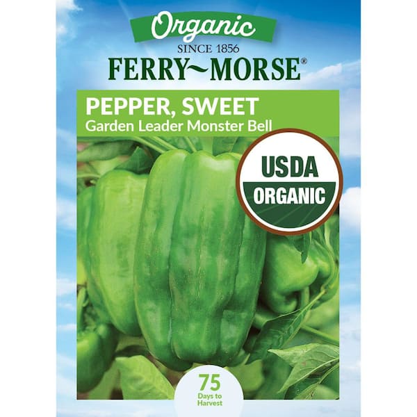 Organic Pepper Garden Leader Monster Bell Giant Fruit Seeds