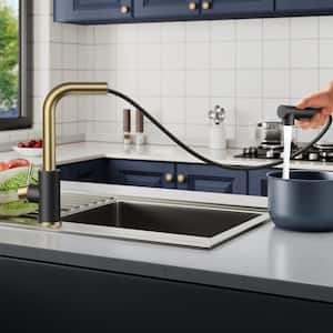 Single-Handle Kitchen Sink Faucet with Pull Down Sprayer Kitchen Faucet in Black Gold