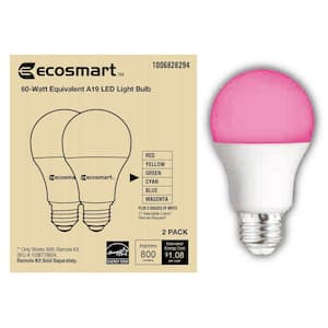 60-Watt Equivalent A19 CEC Color Changing LED Light Bulb (2-Pack)