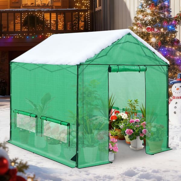 10 ft. x 10 ft. Pop-Up Walk-in portable Greenhouse for Outdoor Gardening Plants with Zipper Doors and Mesh Windows Green