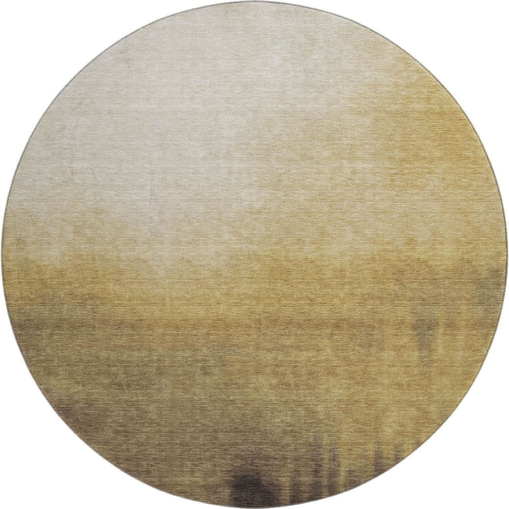 Mayfield Premium Machine Washable Abstract AMF2420 Honey 8 ft. x 8 ft. Round Rug price history on PriceWatchPro