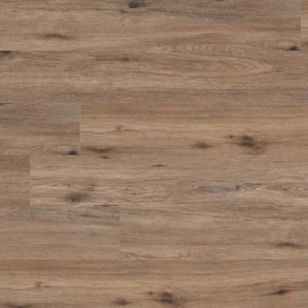 MSI Take Home Sample Forrest Brown Click Lock Waterproof Luxury Vinyl