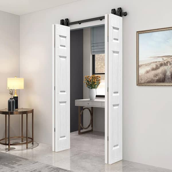 Reviews for CALHOME 52 in. x 82 in. 6 Panel Hollow Core White