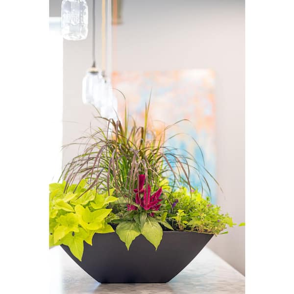 Evolve 6 Gal. Large Black Indoor Plastic Square Planter (20 in. L x 20 in. W x 7 in. H), (1-Pack)