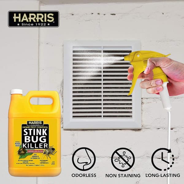 Harris 1 gal. Stink Bug Killer and Spider Trap Value Pack STINK-128VP - The  Home Depot