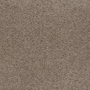 Dream Wish - Hope - Beige 32 oz. SD Polyester Texture Installed Carpet