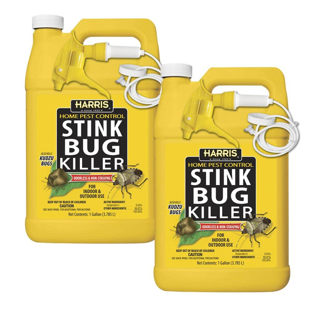 Harris 1 gal. Stink Bug Killer and Spider Trap Value Pack STINK-128VP - The  Home Depot