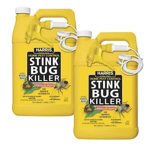 1 Gal. Stink Bug Killer (2-Pack)