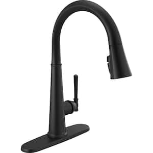 Emmeline Single-Handle Pull-Down Sprayer Kitchen Faucet with ShieldSpray in Matte Black