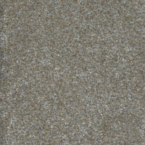 Home Decorators Collection 8 in. x 8 in. Texture Carpet Sample