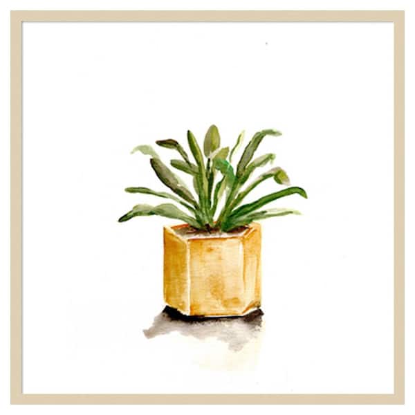 Amanti Art Potted Botanicals II by Marcy Chapman 33 in. W x 33 in. H. Wood Framed Wall Art Print Framed in Brown